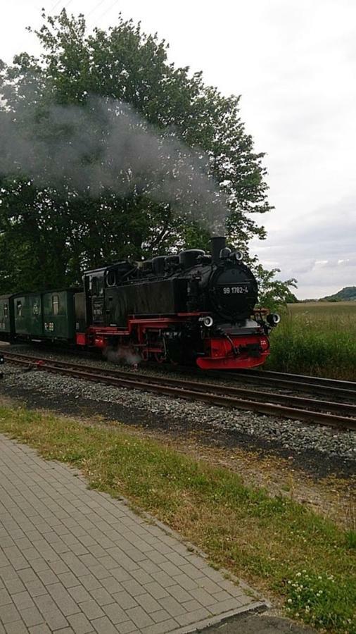 Wowi D 31 Dranske-bakenberg *
